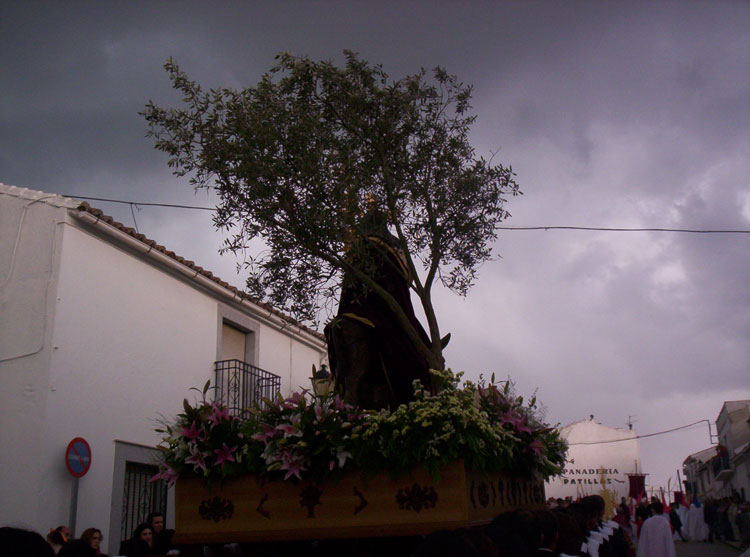 SEMANA SANTA 2007 - PROCESION DE LA BORRIQUITA - FOTOGRAFIA: PEDRO MEDEL