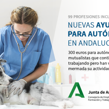 Nuevas Ayudas Para Autónomos en Andalucía