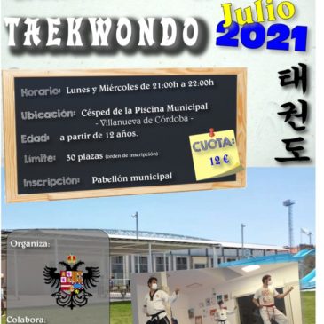 Taller de Verano de Taekwondo